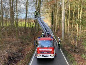 Mehr über den Artikel erfahren Baum auf Fahrbahn