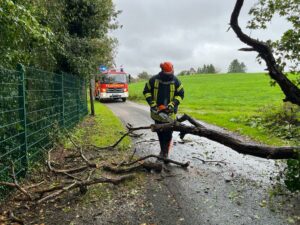 Mehr über den Artikel erfahren Baum versperrt die Straße