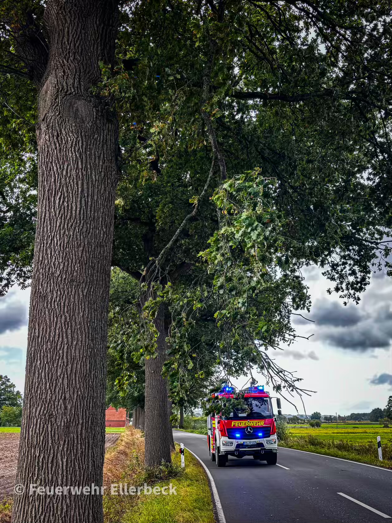 Mehr über den Artikel erfahren Polizei entdeckt abgebrochenen Ast in Ellerbeck